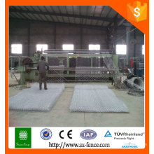 Gabion box/galvanized hexagonal wire netting